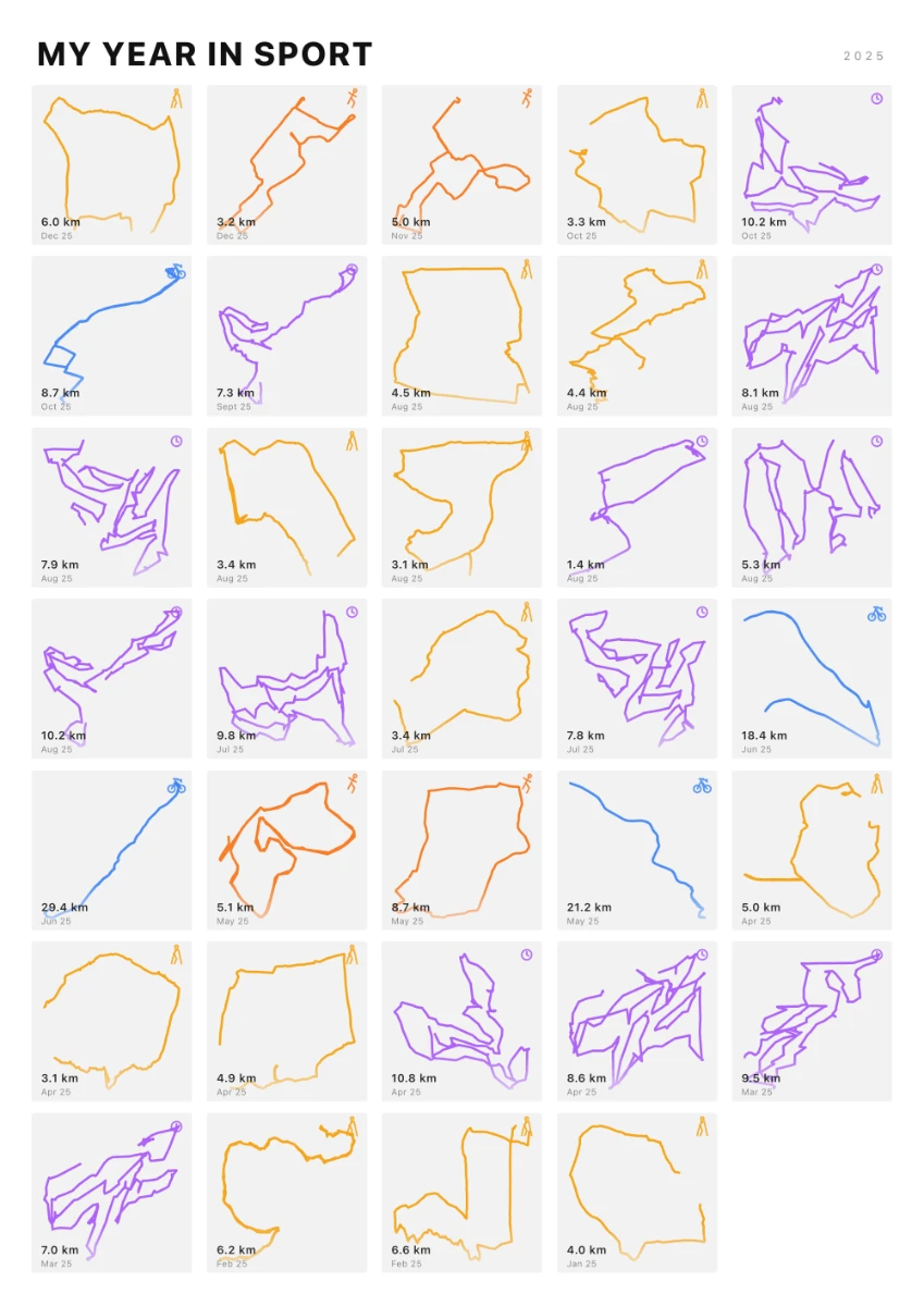 My Year In Sport route print